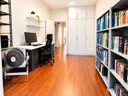 Thomson Park (D20), Terrace #618295421